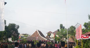 LDII Mlati